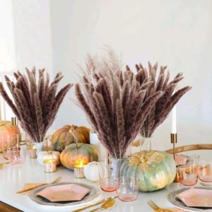5pcs Decoration Small Reed Natural Dried Small Pampas Grass