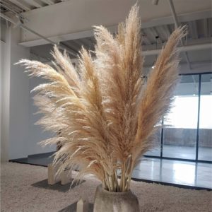 Natural Dried Pampas Grass Decor