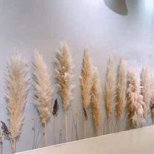 55cm Bunch Pampas Grass Beige Wedding Decoration