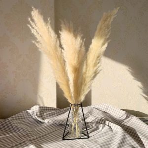 55cm Pampas Grass Decor Large Natural Dried Flowers Bouquet Wedding