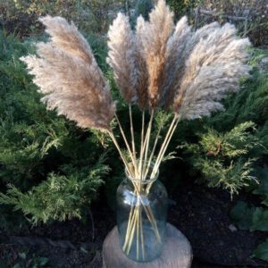 60cm Pampas Grass Dried Flower Reed Wedding Decoration
