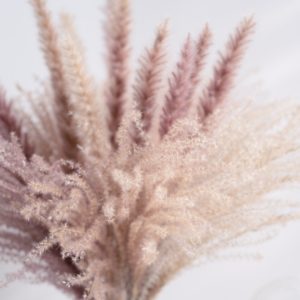 Real Wheat Decoration Natural Pampas Rabbit Tail Grass Dried Flowers